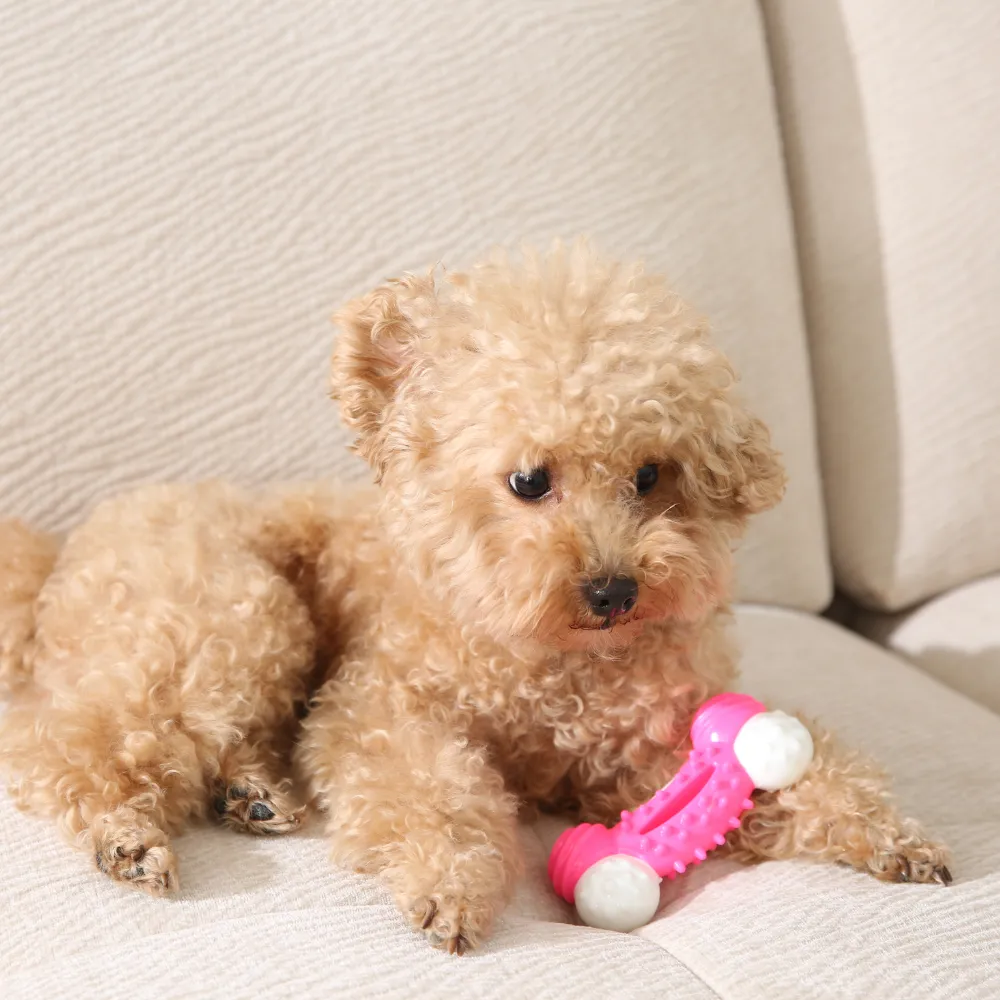 Top Bone Dog Nylon Chew Toy