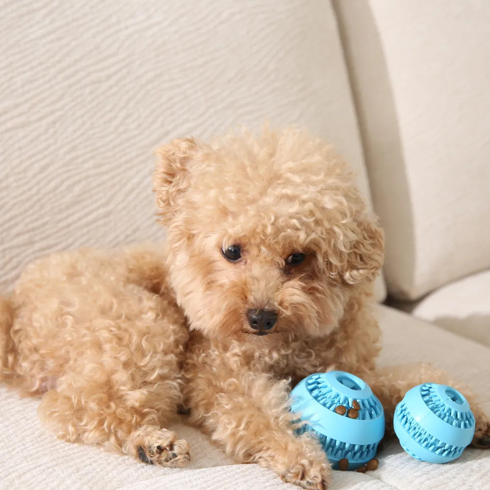 Top Rubber Pet Treat Toys