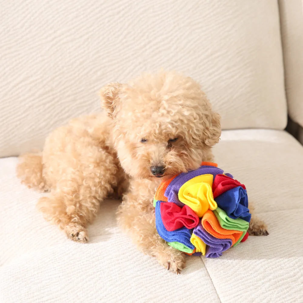 Wholesale Colorful Snuffle Ball Dog Toys