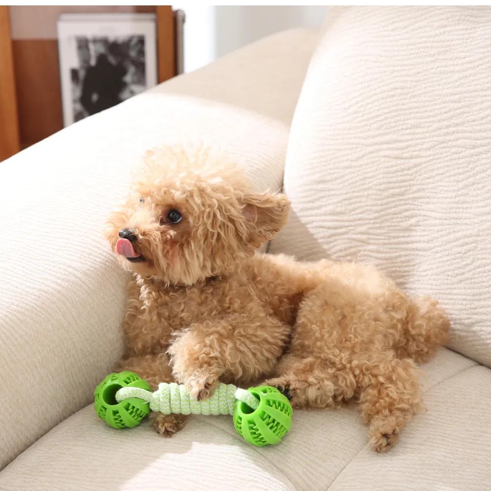 Wholesale Dog TPR Ball Toy