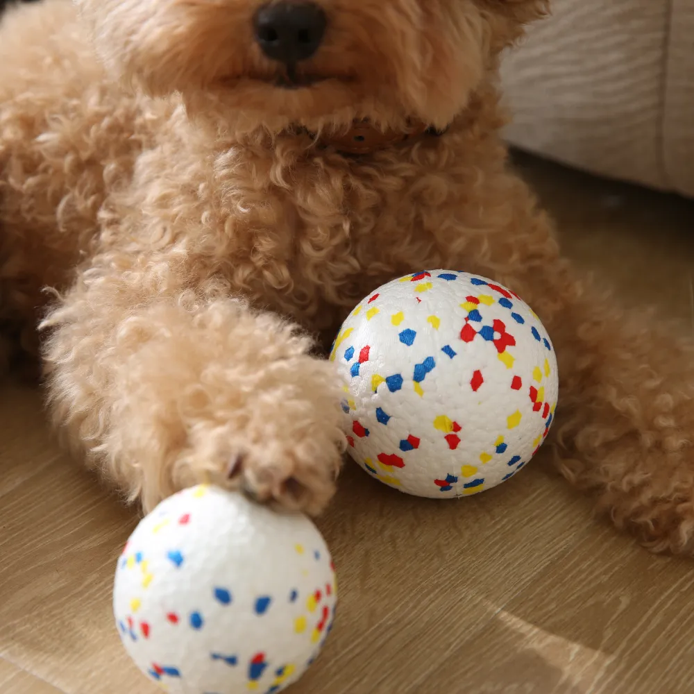 ball toys for dog