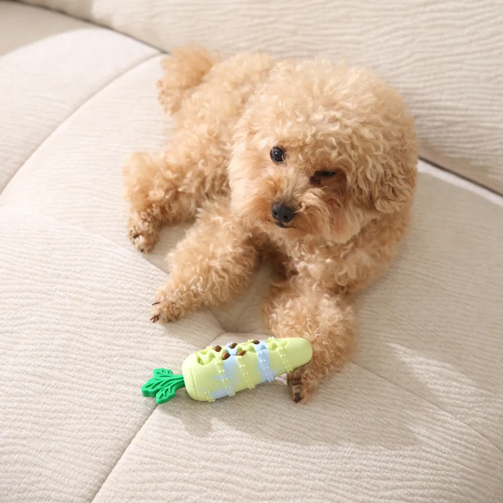 carrot toy dogs