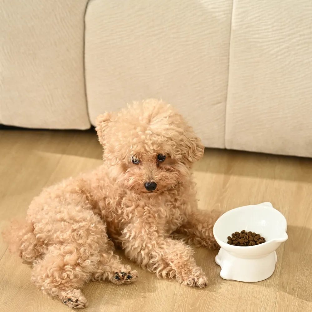 ceramic bowls for pets