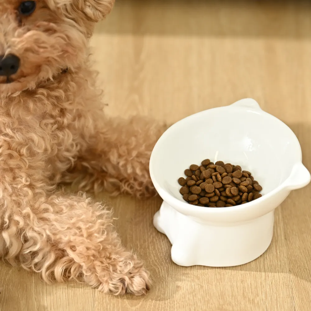 ceramic pet bowls