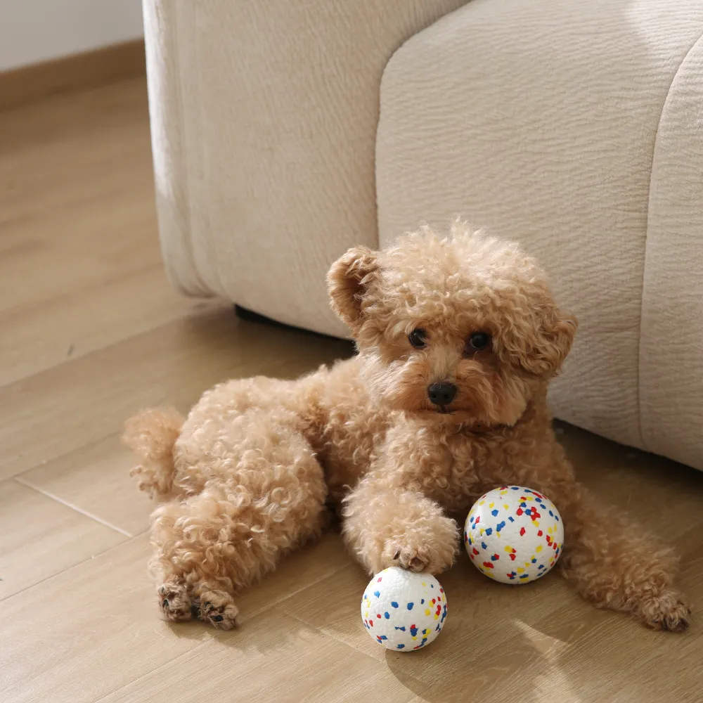 dog ETPU ball toy