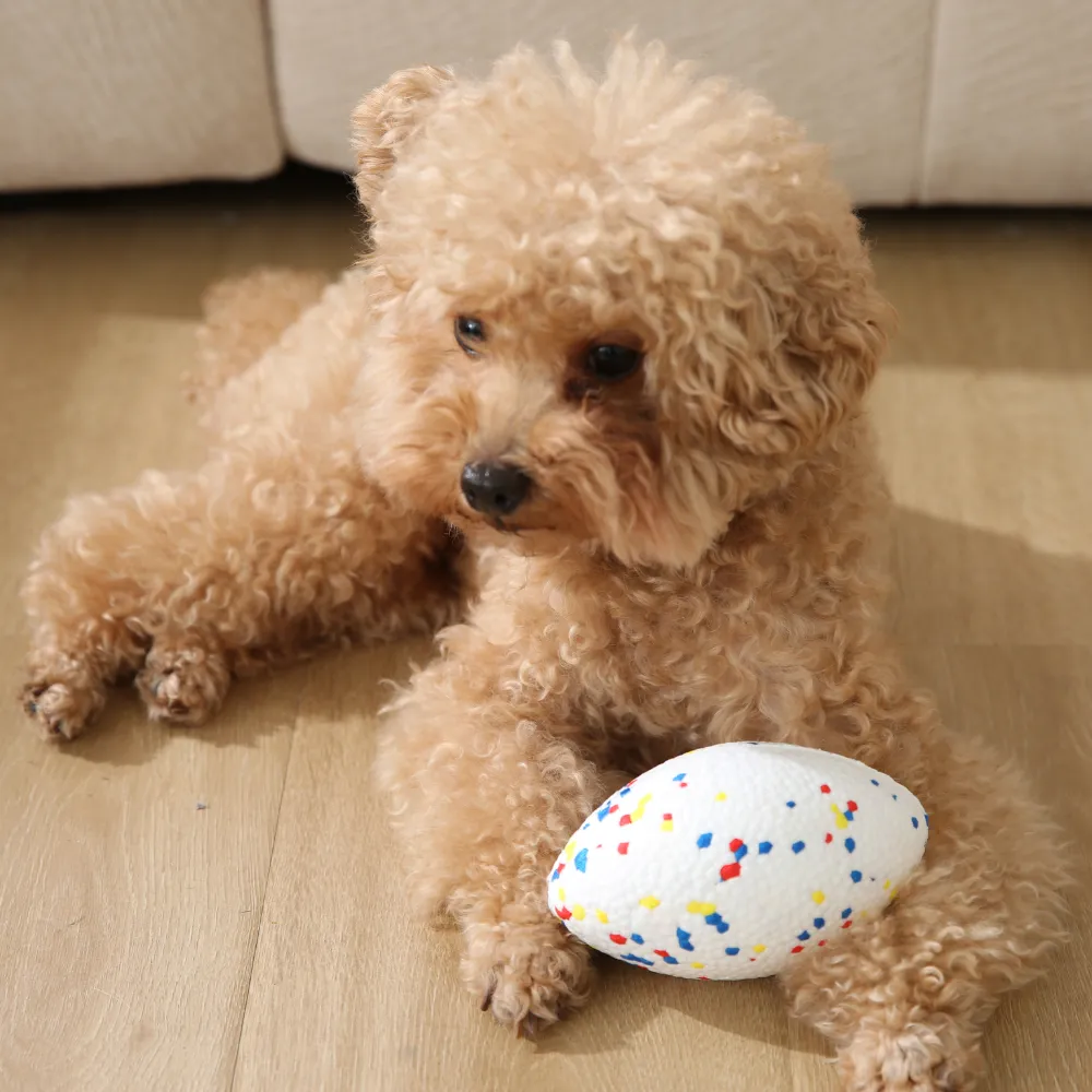 dog Oval Ball Toy
