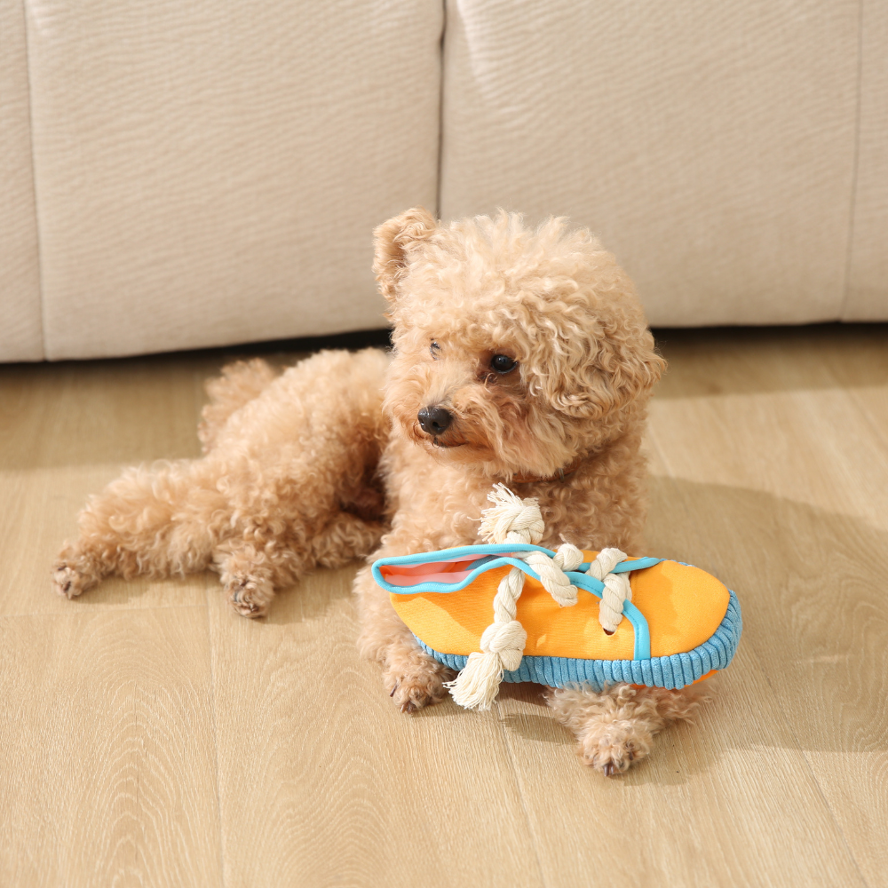 dog chew toy shoe