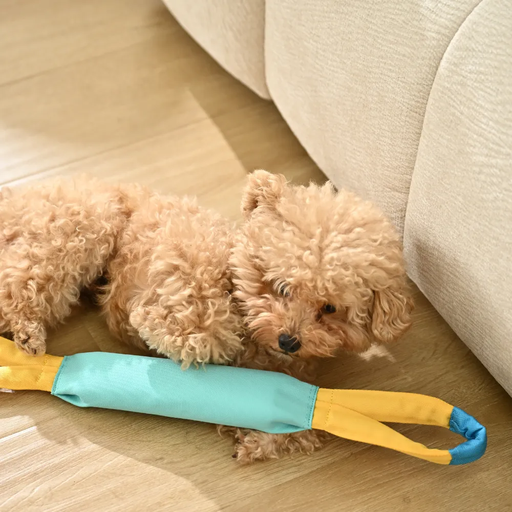 dog interactive toy