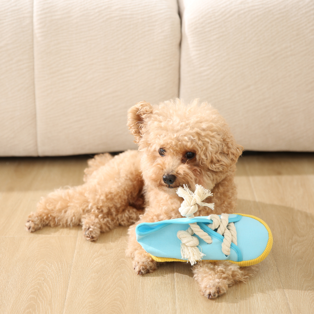 dog shoe chew toy