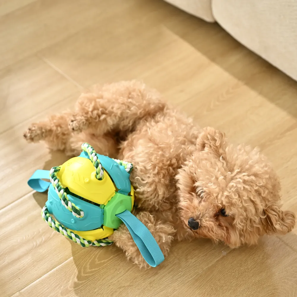 frisbee ball dog toy wholesale