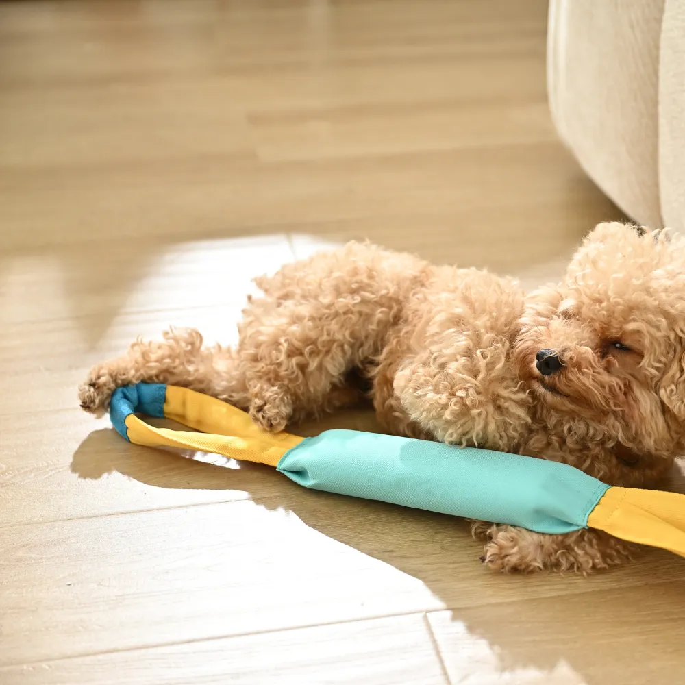 interactivechew dog toy