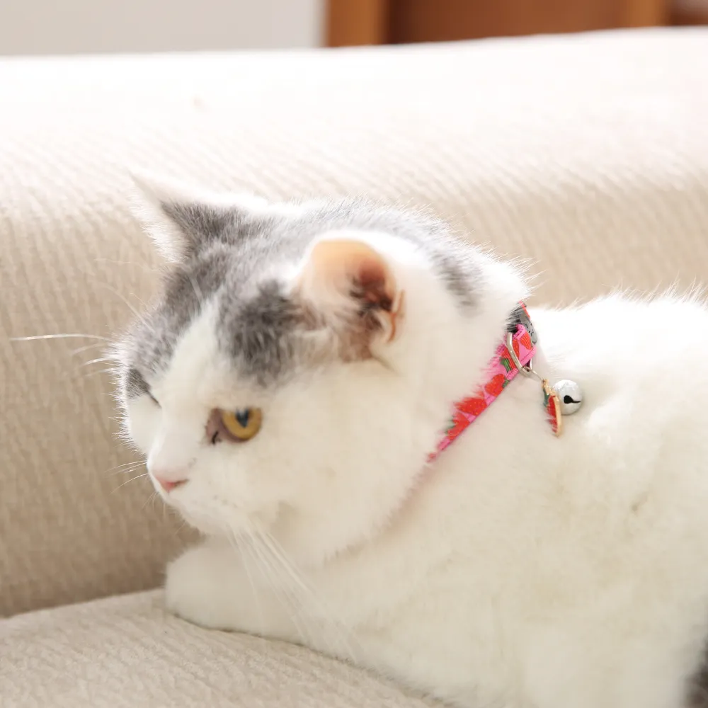 printedCat Collar with Bell
