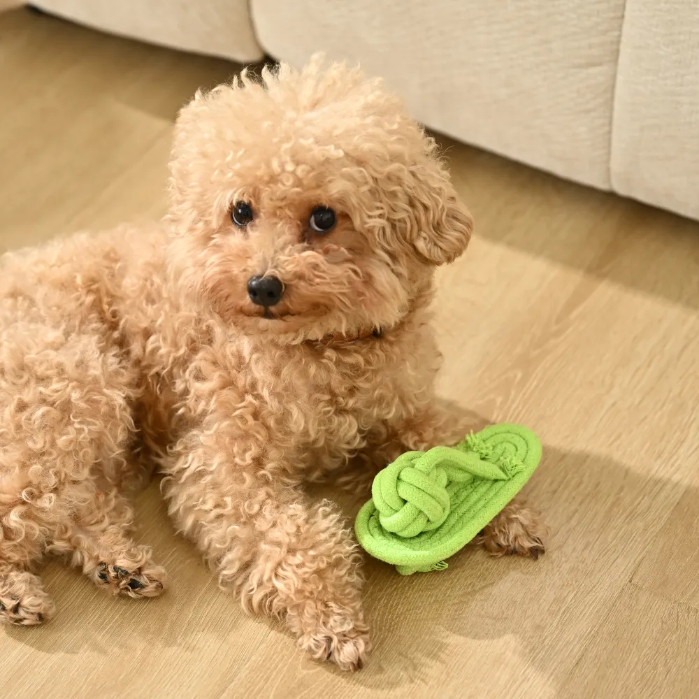 shoe chew dog toys