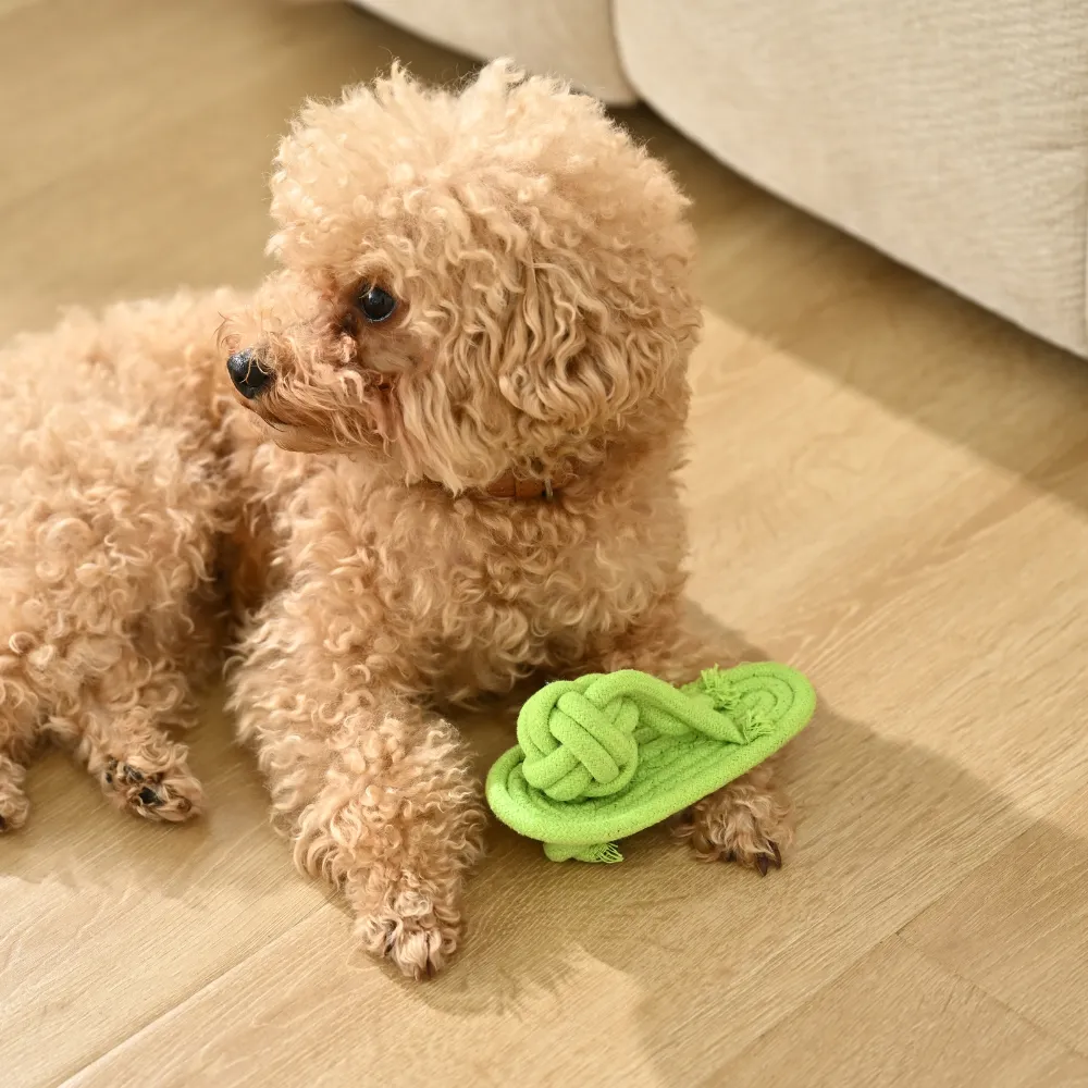 shoe shaped dog chew toy