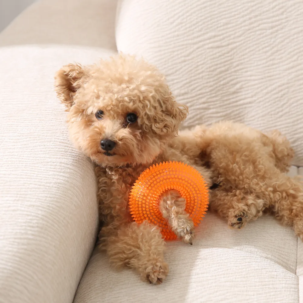 spiked ring dog toy factory