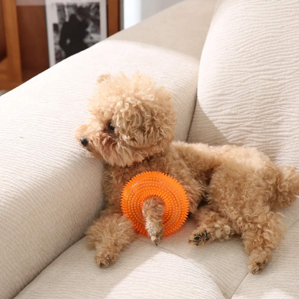 spiked ring dog toy supplier