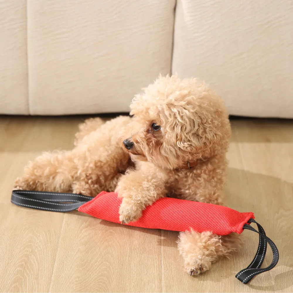 tug of war dog toys