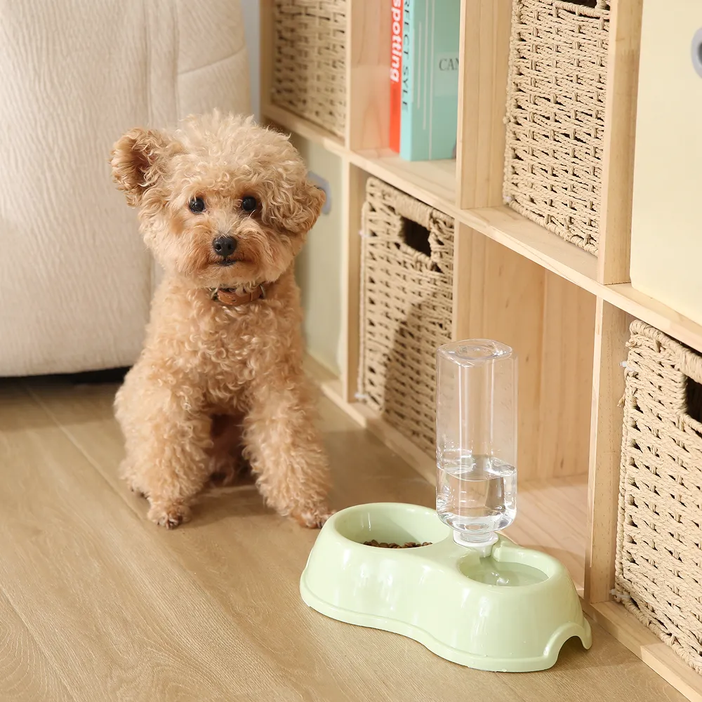water dispenser for pet​