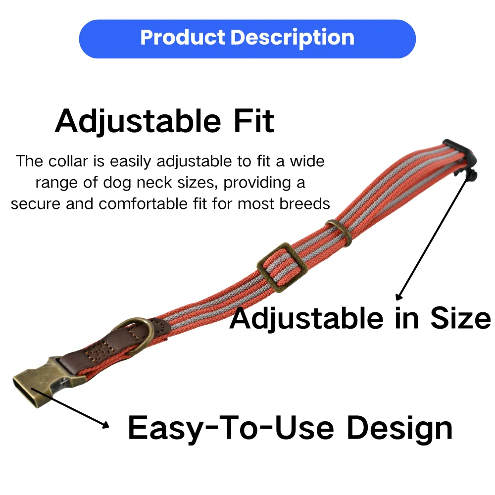 Adjustable Dog Collar