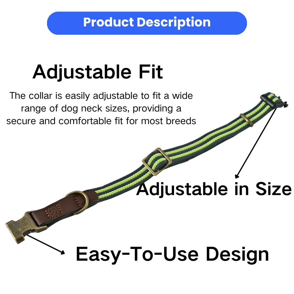 Adjustable Dog Collar