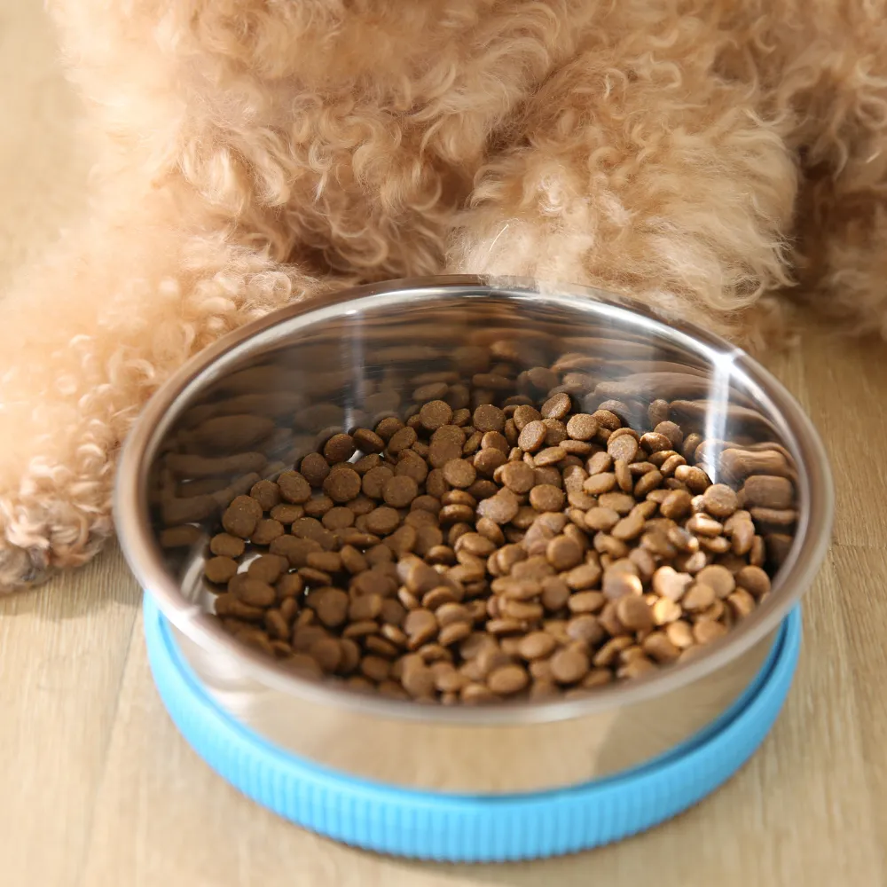 Anti-Slip Dog Bowl