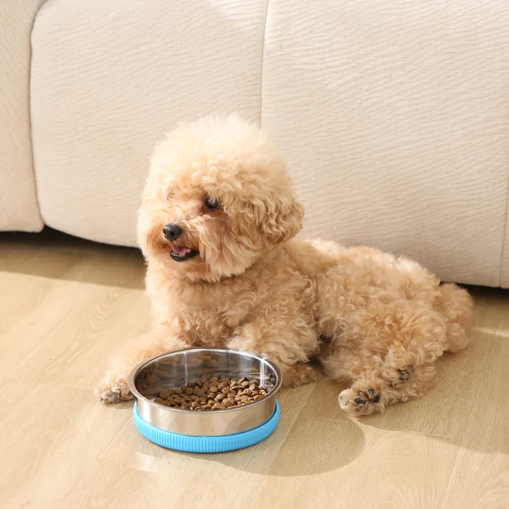 Anti-Slip Pet Bowl