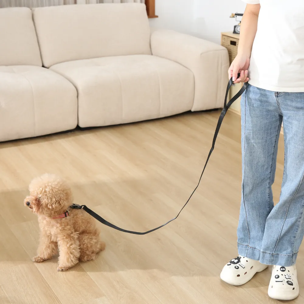 Breathable Dog Leash