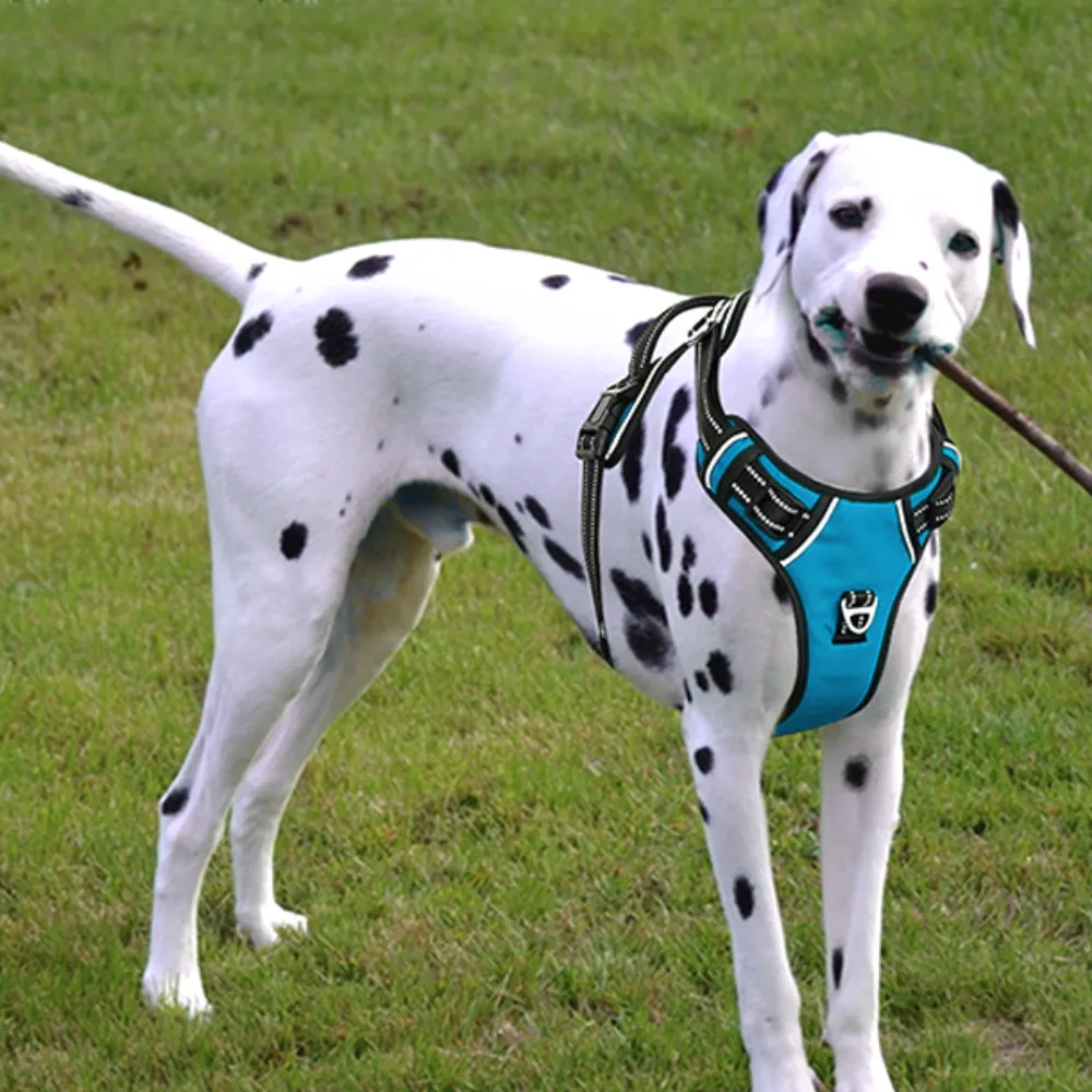 Bulk Breathable Dog Harness