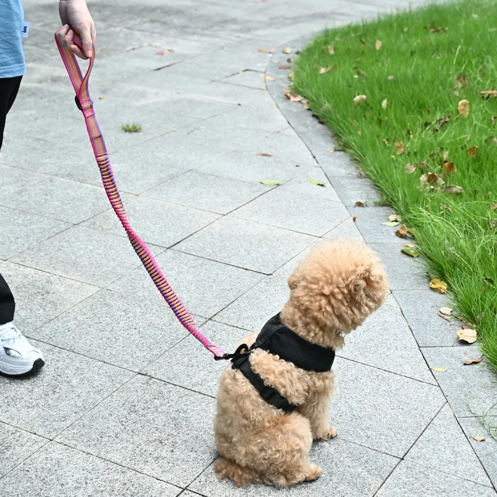 Bulk Dog Elastic Leash