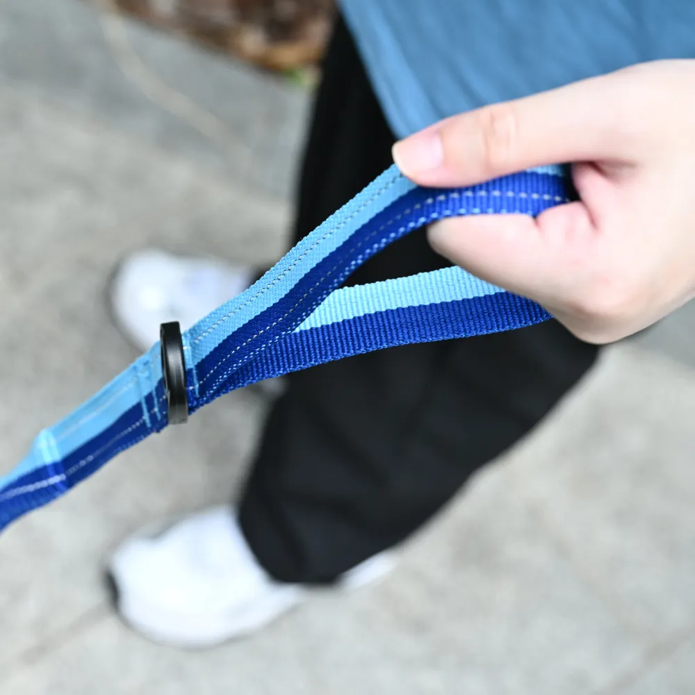Bulk Dog Shock Absorbing Leash