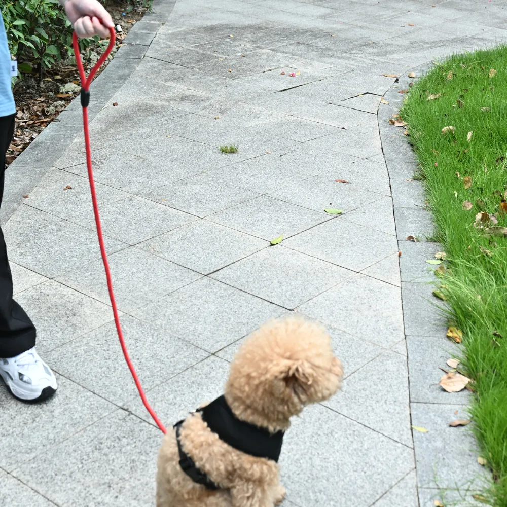 Bulk Dog Training Leash