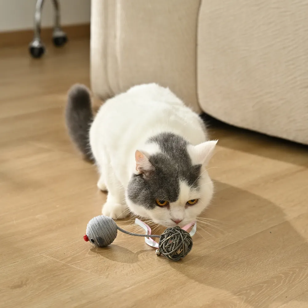Cat Ball Toy Set factory