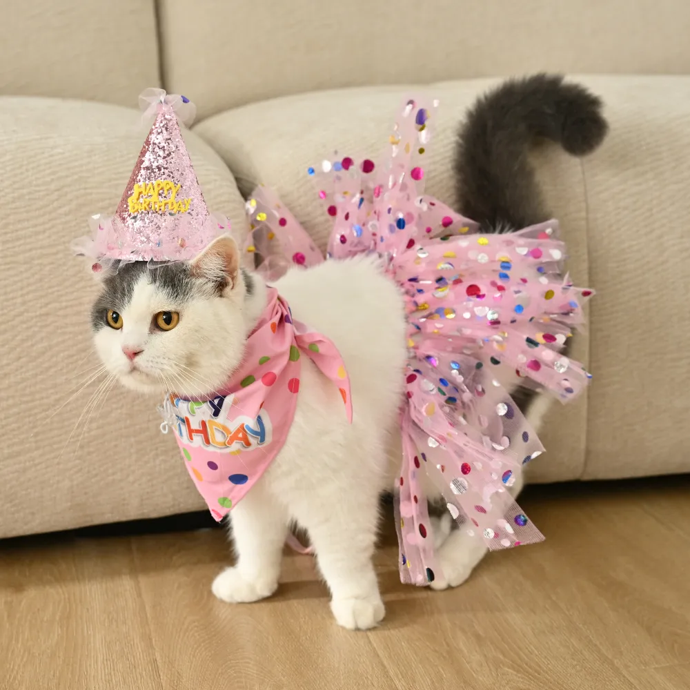 Cat Birthday Dress