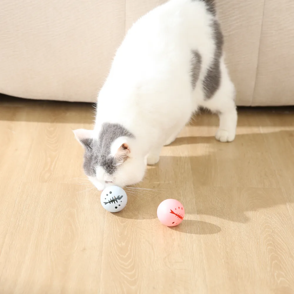 Colorful Cat Balls with Bell