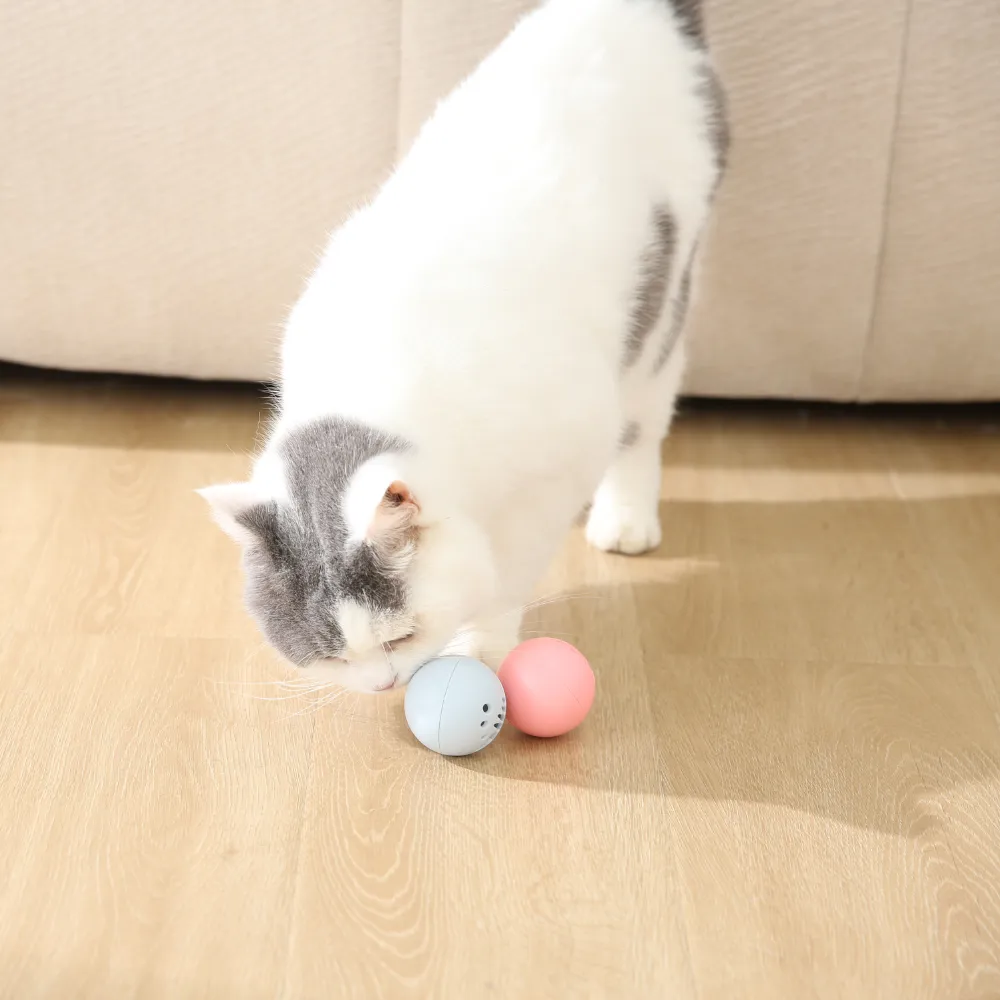 Colorful Cat Toy with Bell