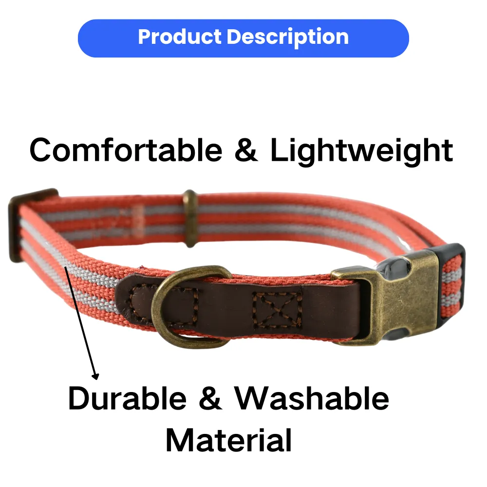 Comfortable Dog Collar
