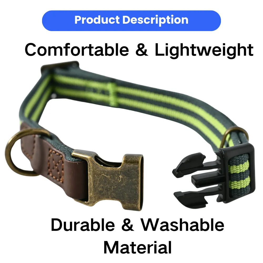 Comfortable Dog Collar