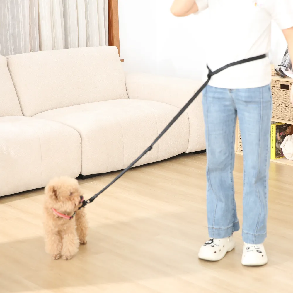 Comfortable Waist Leash