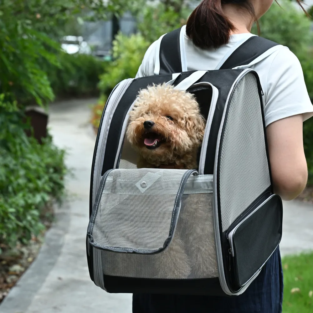 Dog Backpack