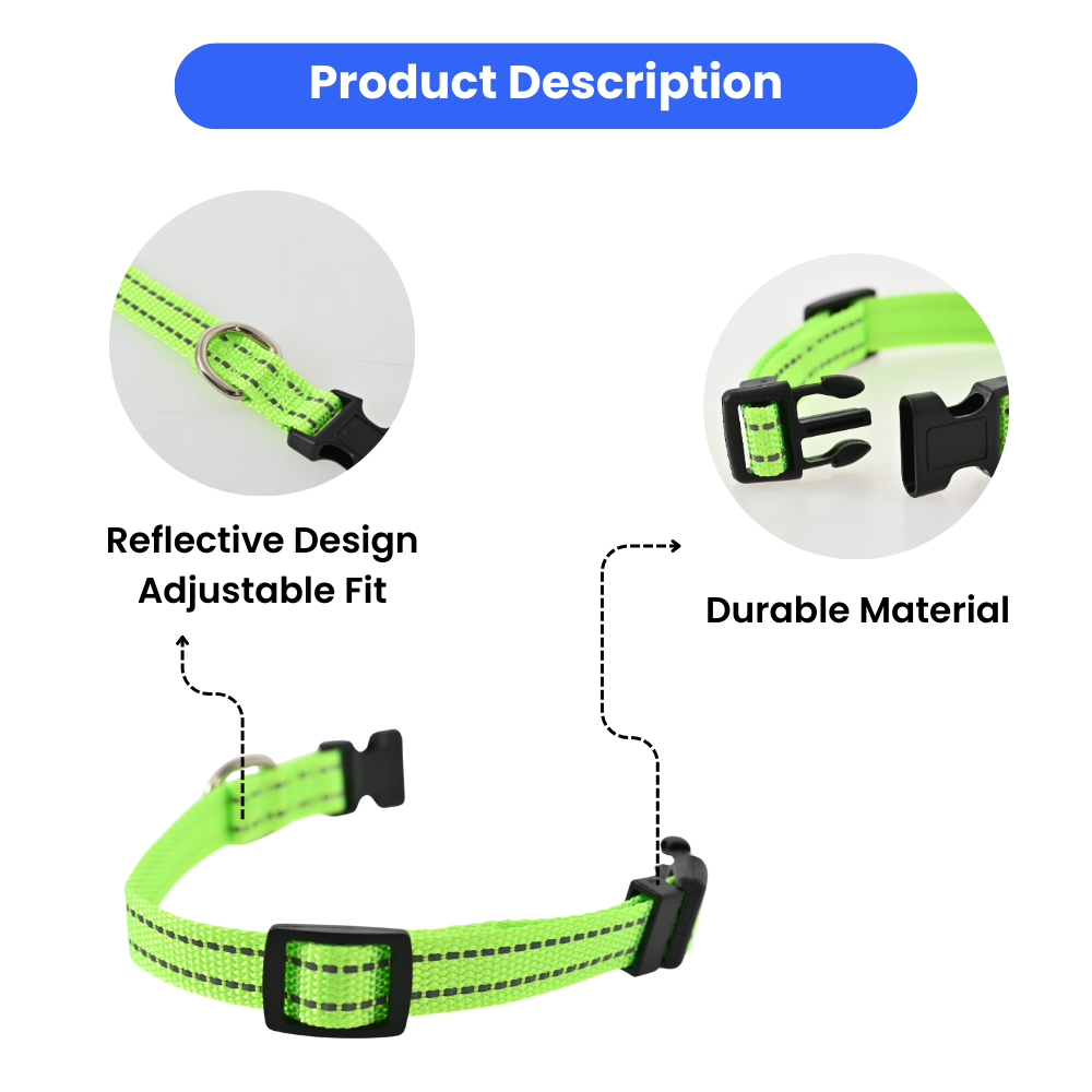 Dog Collar Adjustable