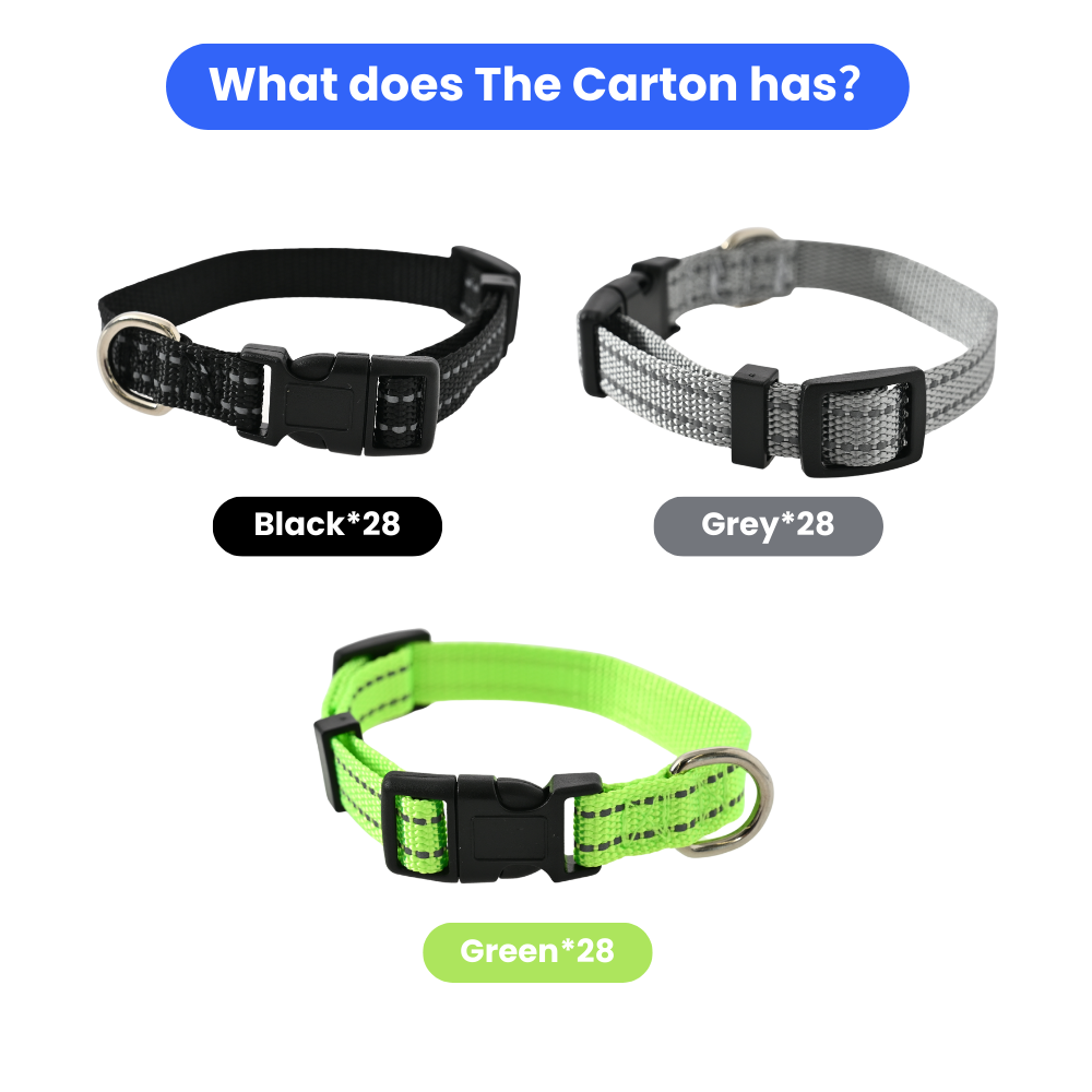 Dog Collar Reflective
