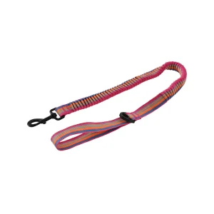 Dog Elastic Leash