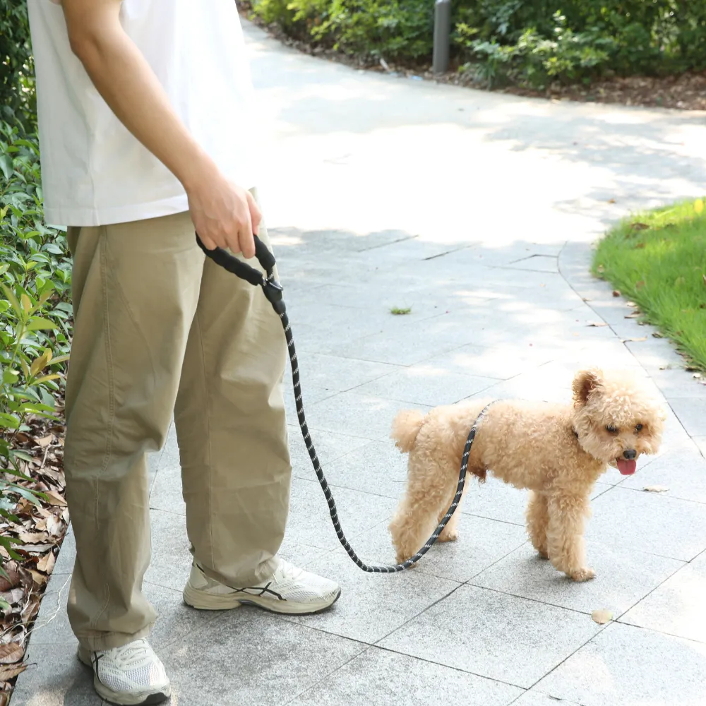 Dog Leash Image