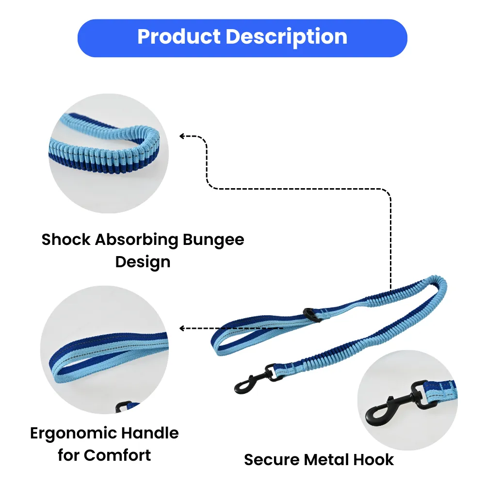 Dog Shock Absorbing Leashes