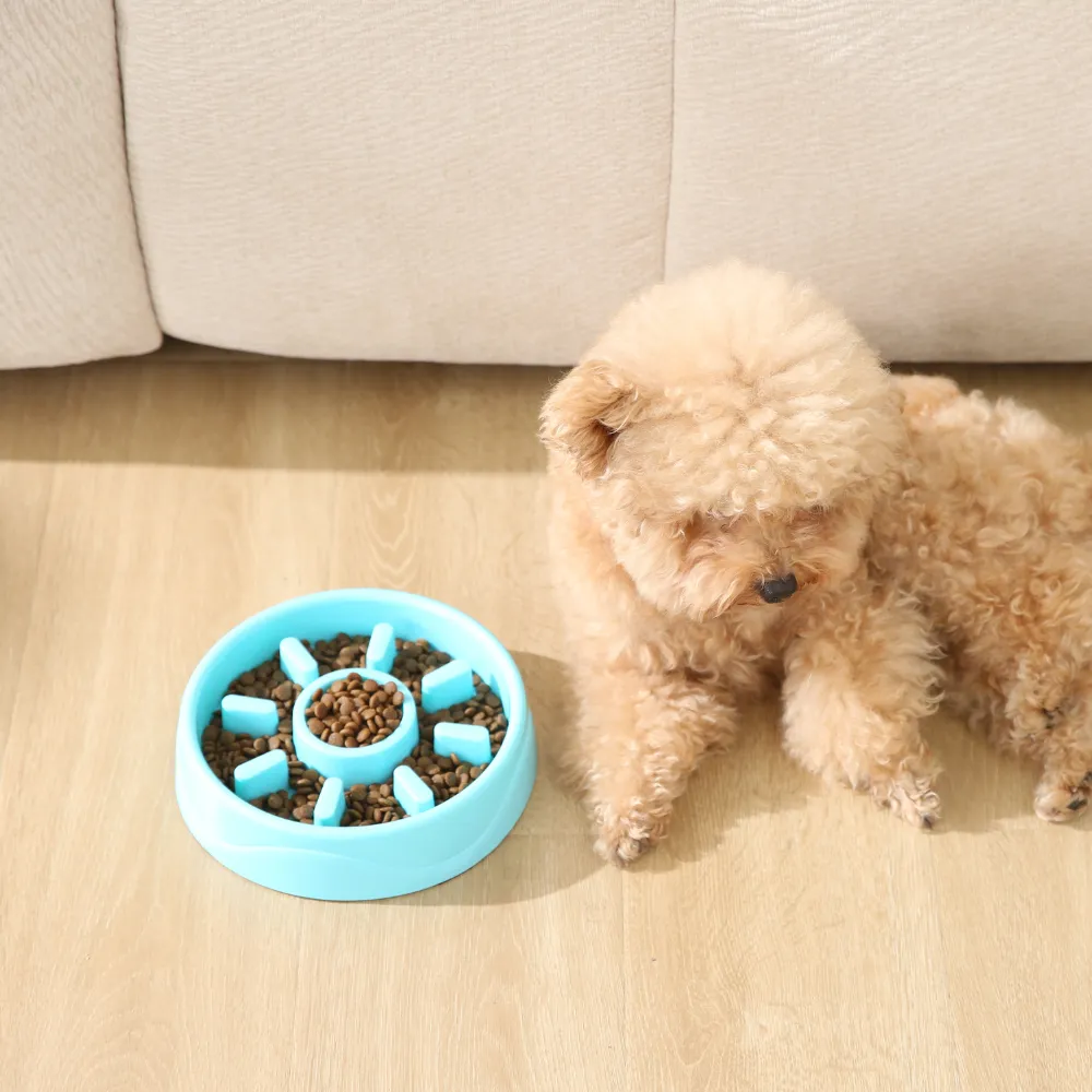 Dog Slow Feeder