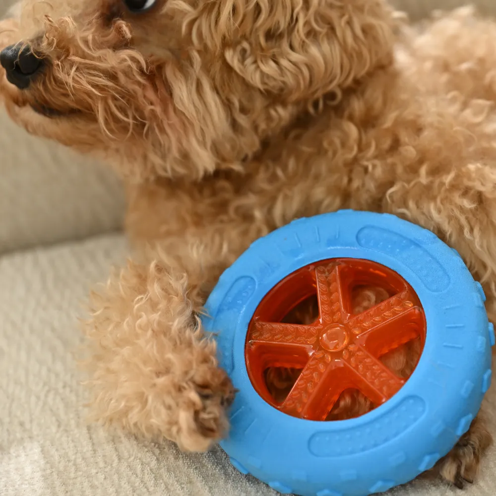 Dog TPR Floating Type Toy, Blue, 20pcsCarton