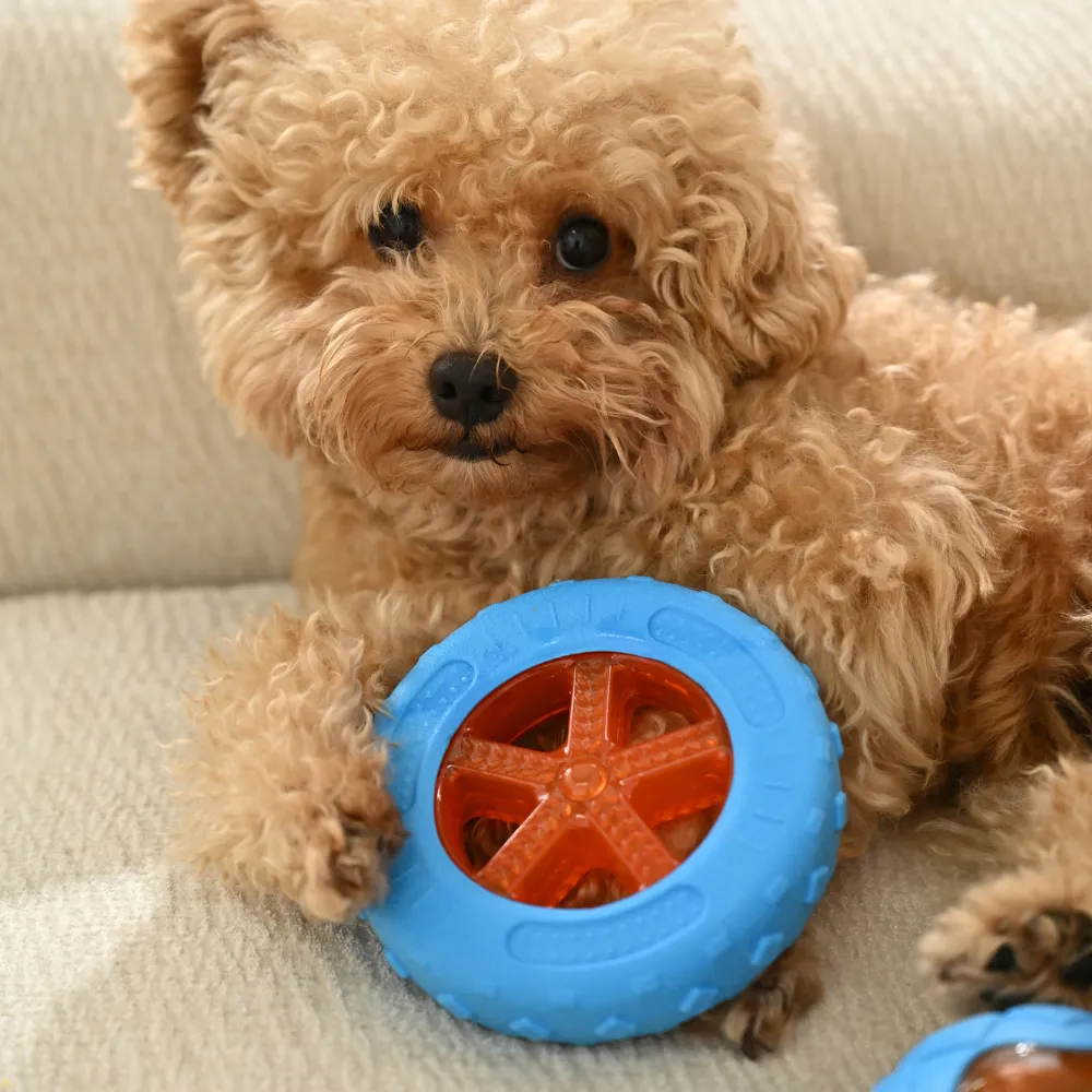 Dog TPR Floating Type Toy, Blue, 20pcsCarton