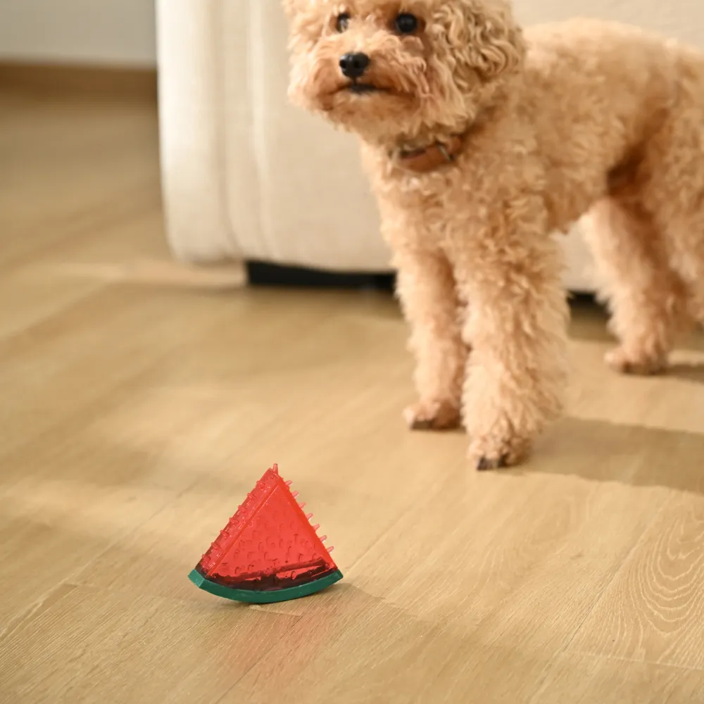 Dog Watermelon TPR Cooling Toy Squeaker