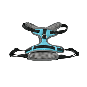 Dog Collars, Harnesses & Leashes