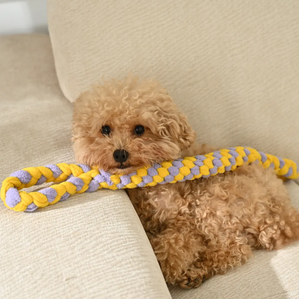 Double Handle Pet Dog Rope Toy wholesale